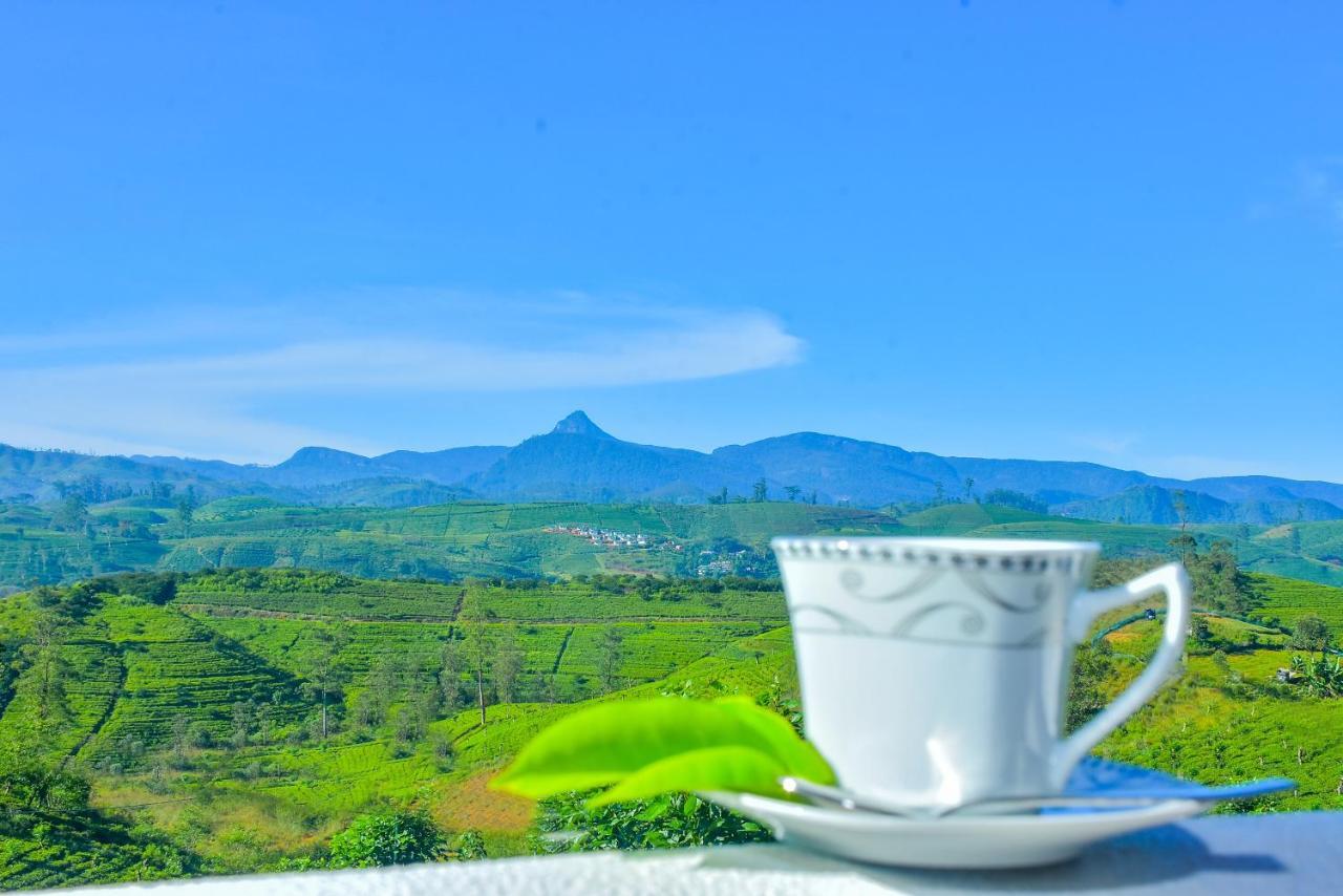 Tea Queens Bungalow Хаттон Экстерьер фото